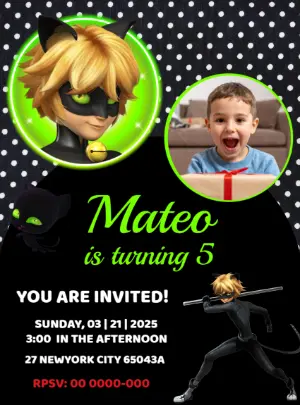 Editable Cat Noir Birthday Invitation Template with photo