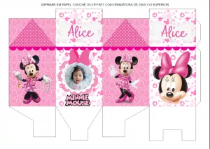 Festa Minnie Mouse: Caixa Milk com Foto para Editar Online