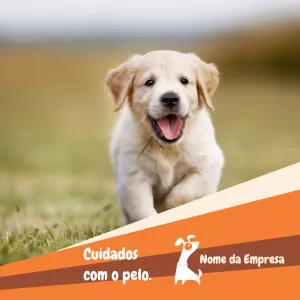 Post para Pet Shop com Filhote de Cão para Editar Online