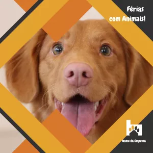 Post de Férias com Animais para Pet Shop Editável Online