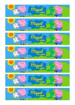 Rótulo de Garrafa George Pig para Aniversário Editável Online