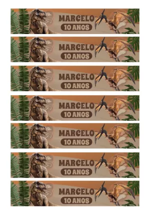 Rótulo de Garrafa Dinossauros para Aniversário para Editar