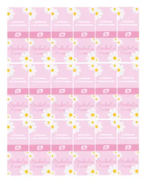 Rótulo Editável para Tic Tac Aniversário Margaridas Rosa