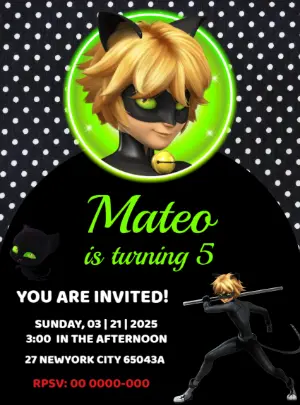Cat Noir Birthday Invitation Editable Online