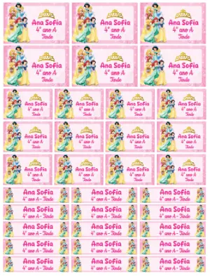 Etiqueta Escolar Princesas Disney Rosa e Dourado para Editar