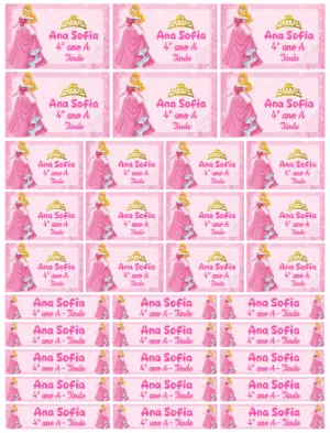 Kit de Etiquetas Escolares Princesa Aurora Editável